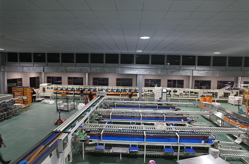 images/1669883737985plum sorting machine.jpg